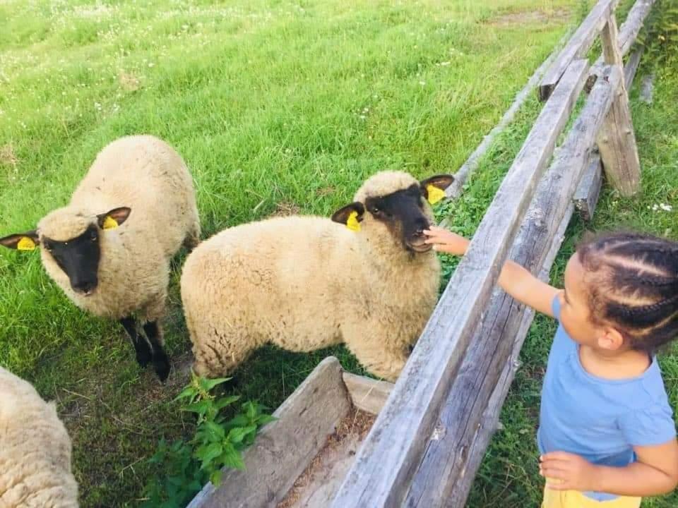 Adeles Sodyba Sturmai المظهر الخارجي الصورة